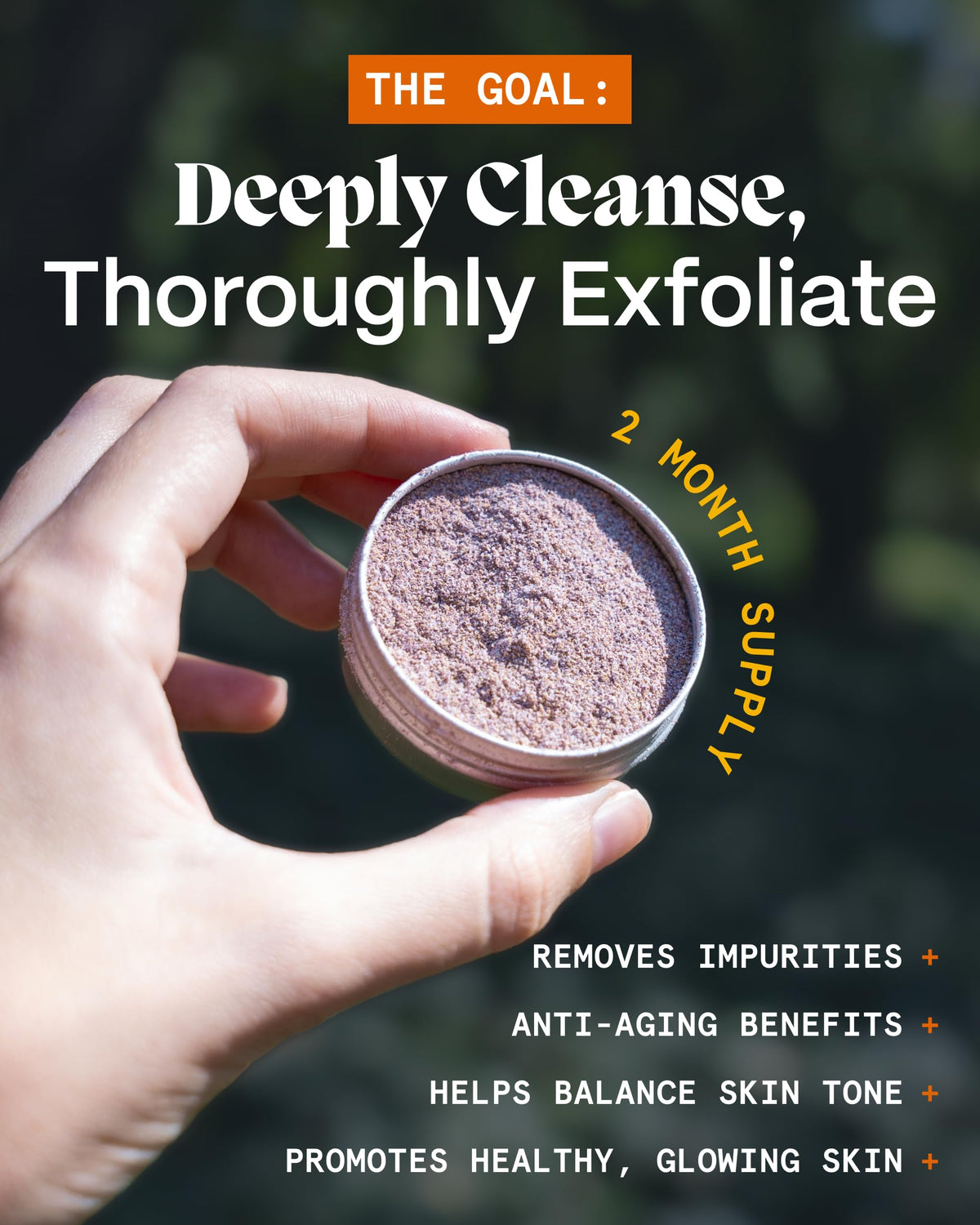 Norse Organics rose petal close-up illustrating botanical calming benefit
