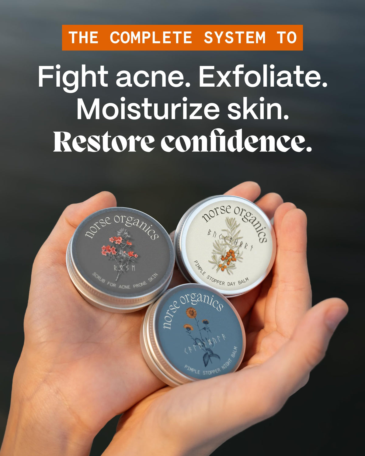 Norse Organics face scrub powder on spoon illustrating natural exfoliant and pore-clearing benefit