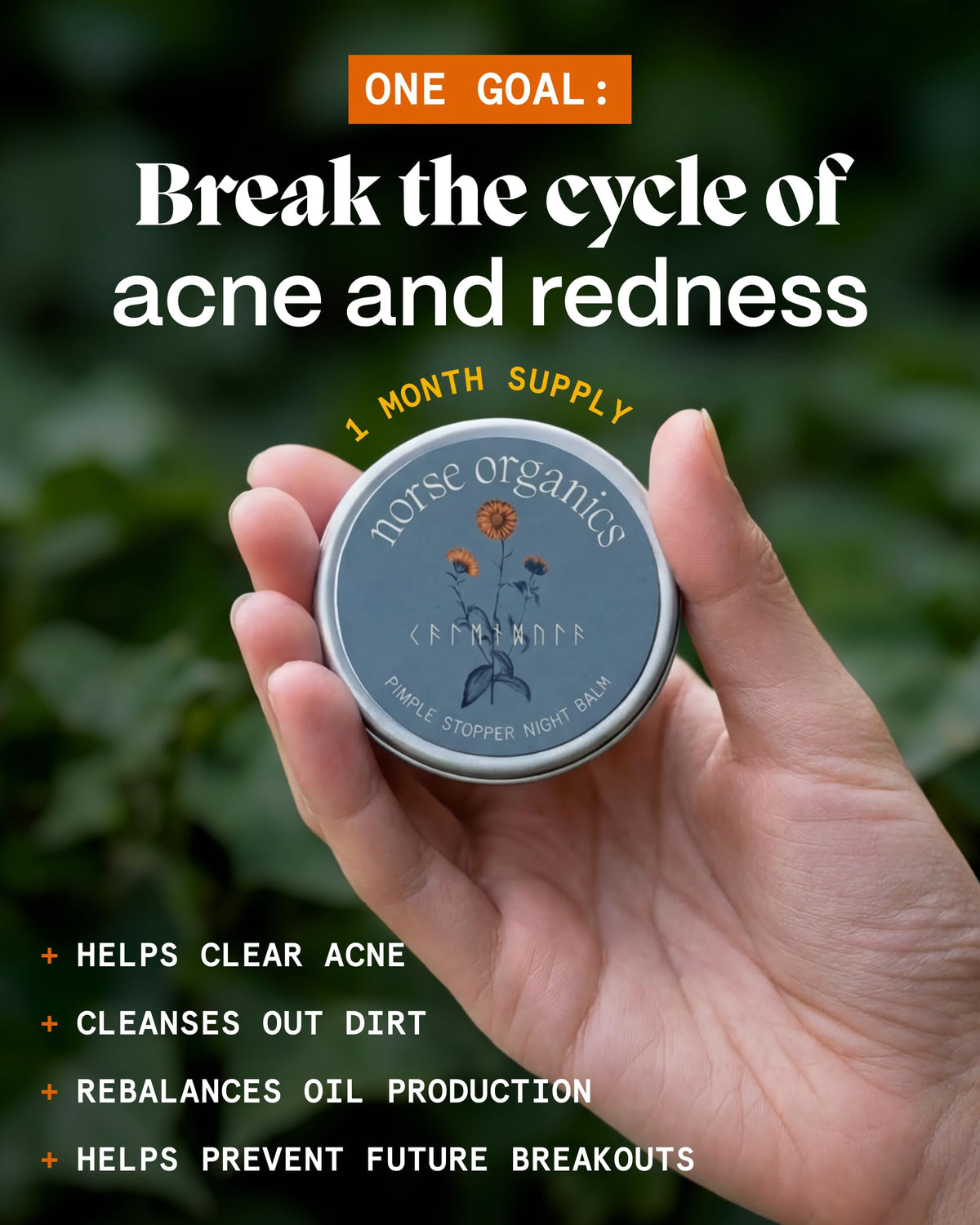 Norse Organics key botanical ingredients arranged to highlight natural active benefits