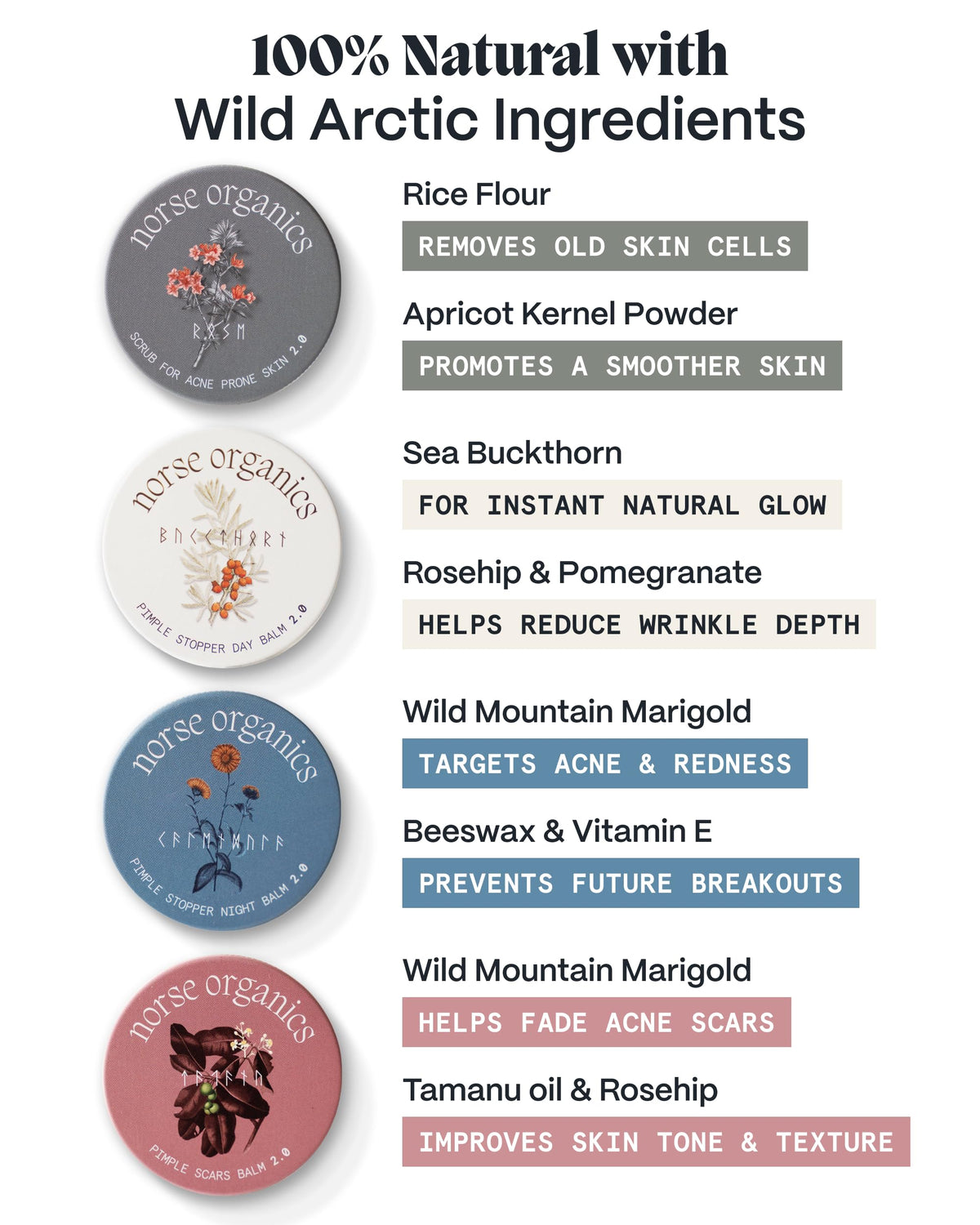 Norse Organics powder Scrub being mixed in palm showing easy in-shower use