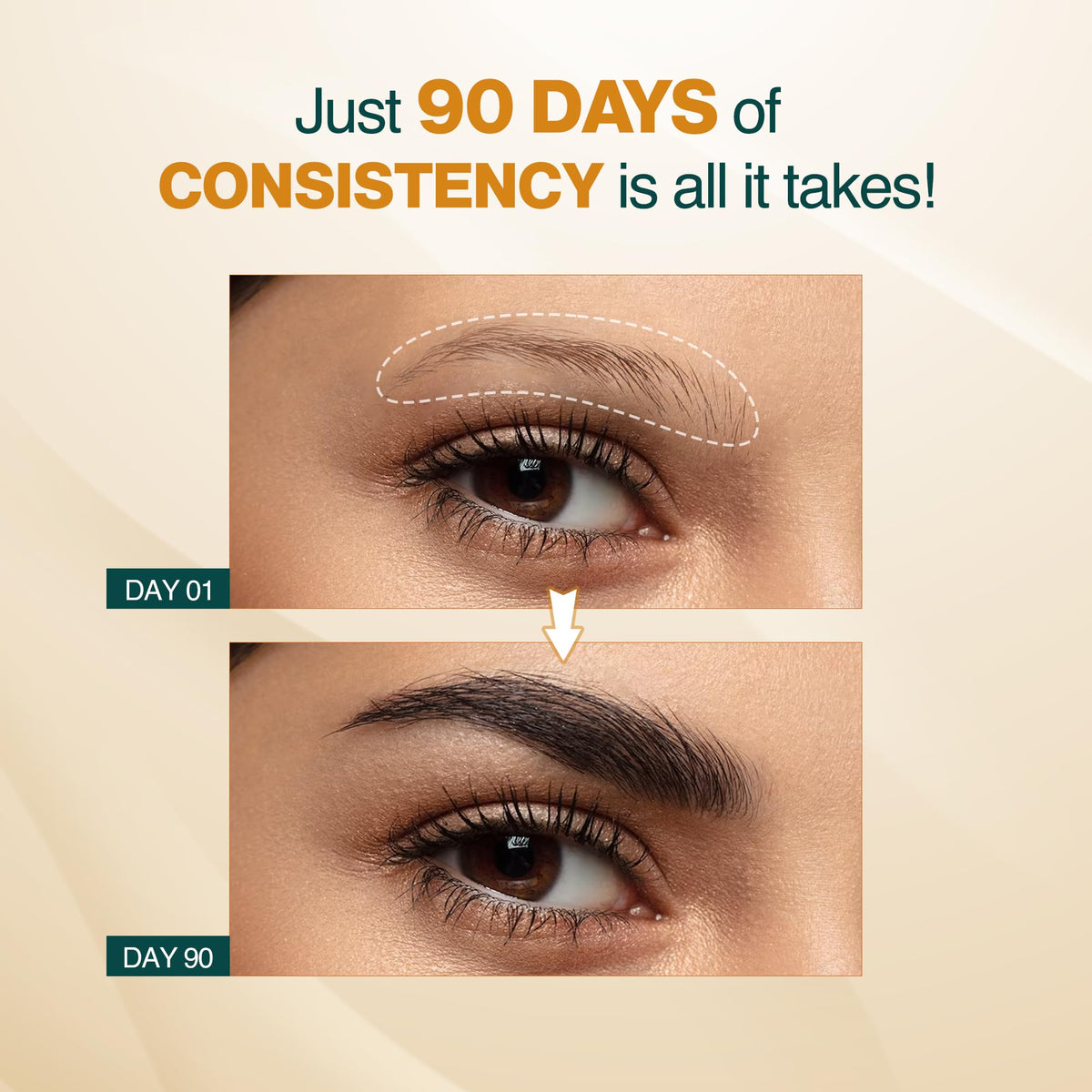 NOURISH MANTRA before and after brows visual showing fuller, thicker-looking results