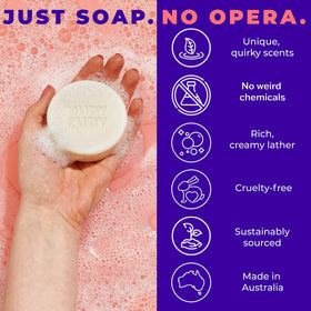 Nudy Rudy six soap pucks arranged to show variety and convenient sampling
