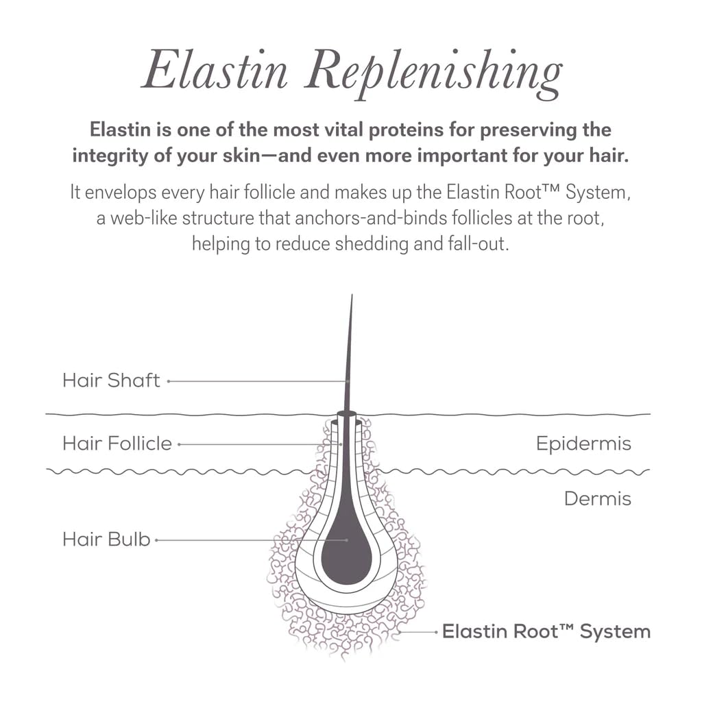 NULASTIN elastin protein ingredient visual emphasizing scalp support