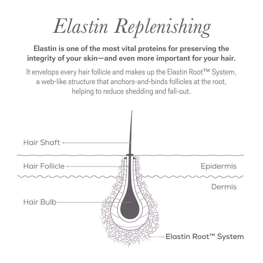 NULASTIN ingredient graphic highlighting elastin renewal, promotes resilience