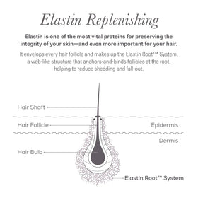 NULASTIN ingredient graphic highlighting elastin renewal, promotes resilience