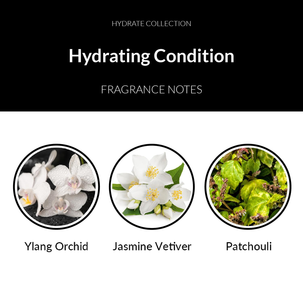 Number 4 product on palm showing recommended amount for lightweight conditioning