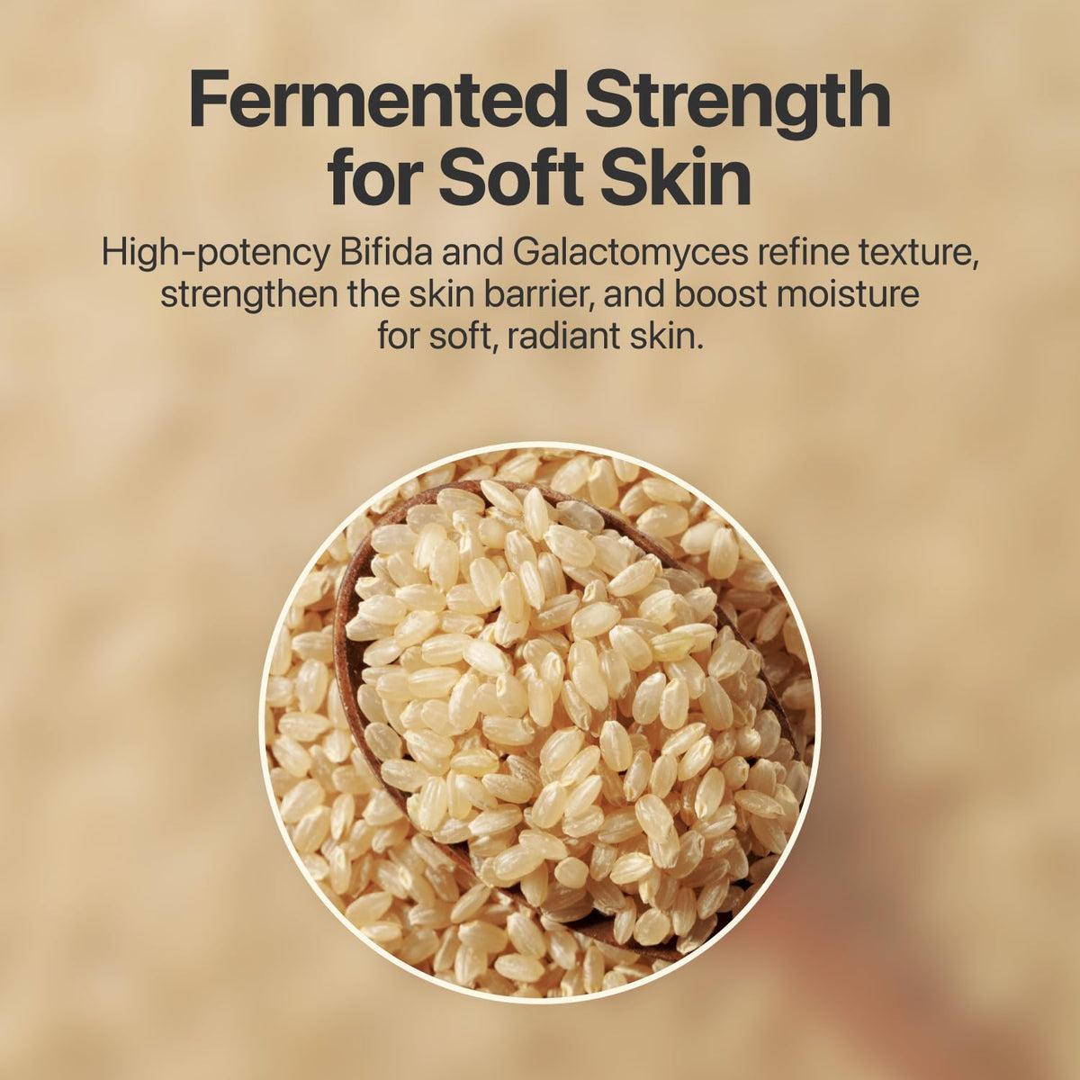 numbuzin bifida ferment lysate ingredient close-up showing fermentation support benefit