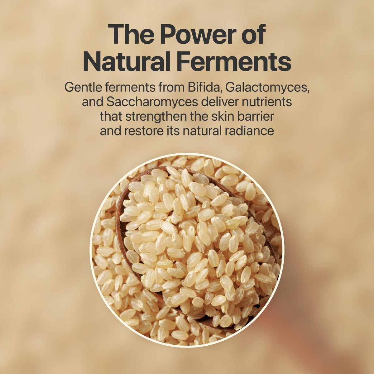 numbuzin essence on hand demonstrating hydration and smooth finish benefit