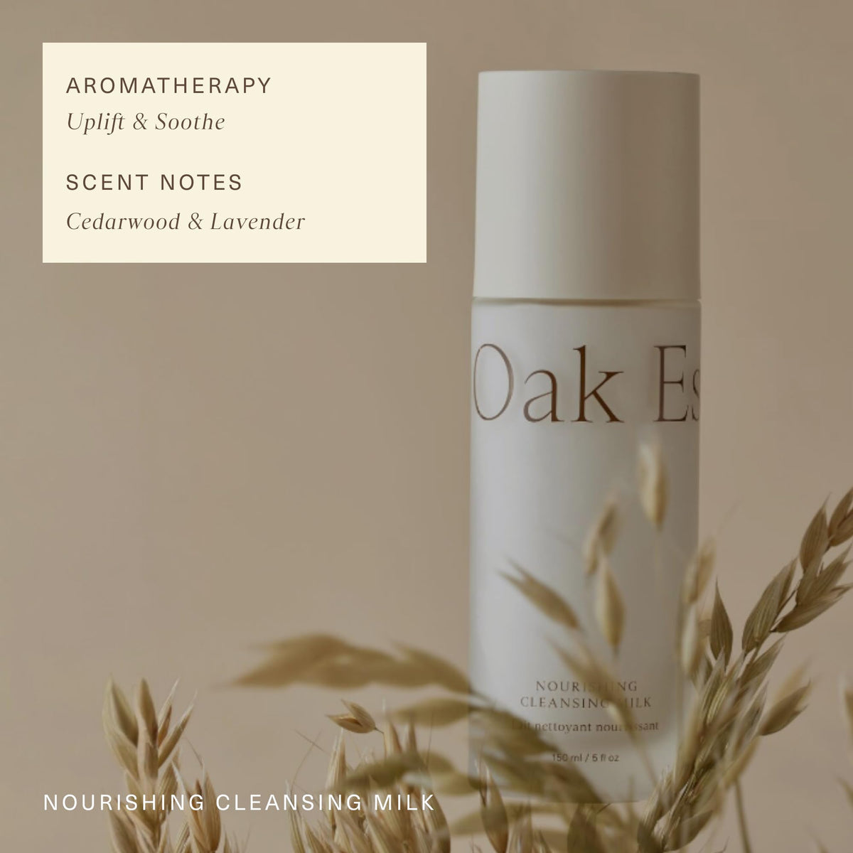 Oak Essentials dispenser in hand showing controlled amount and gentle cleanse