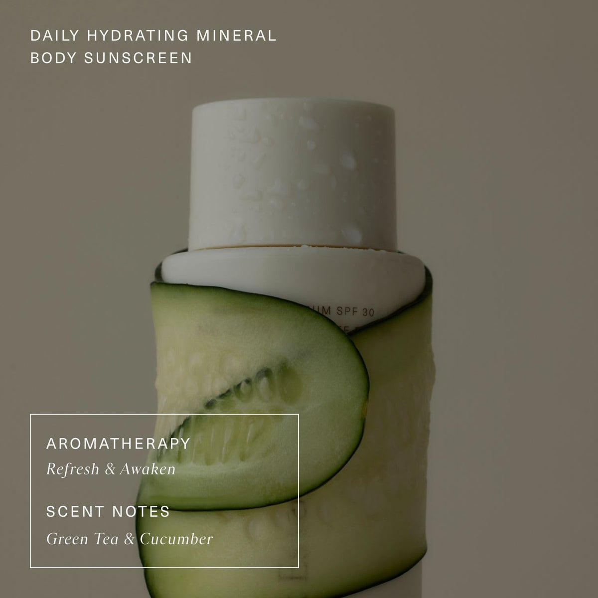 Oak Essentials botanicals flatlay showing desert succulents and natural antioxidants