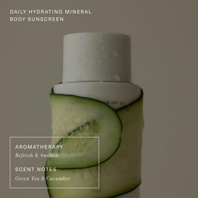 Oak Essentials botanicals flatlay showing desert succulents and natural antioxidants