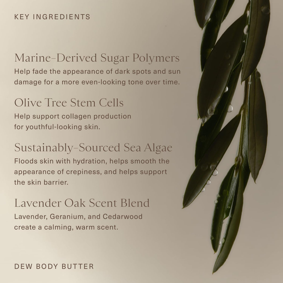 Oak Essentials botanicals showing lavender and cedarwood scent for calming benefit