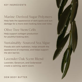 Oak Essentials botanicals showing lavender and cedarwood scent for calming benefit