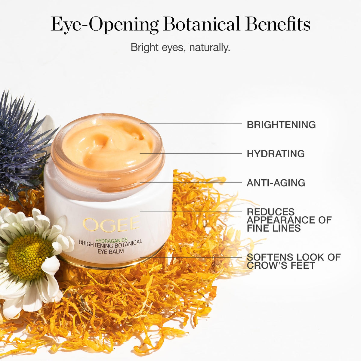 Ogee creamy texture swirl highlighting lightweight, hydrating formula