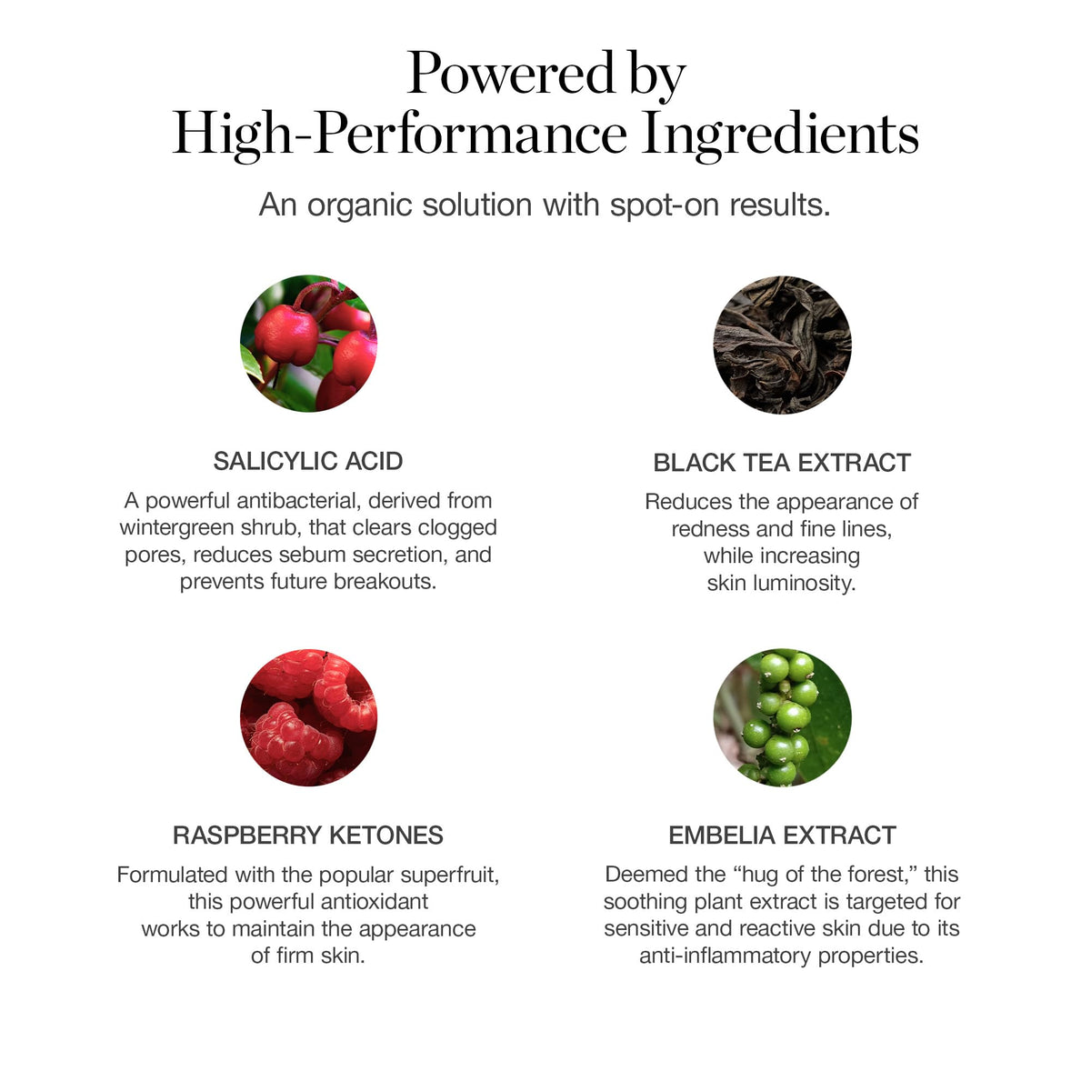 Ogee botanical ingredients flatlay highlighting calming plant extracts