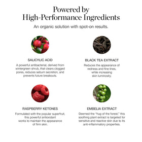 Ogee botanical ingredients flatlay highlighting calming plant extracts