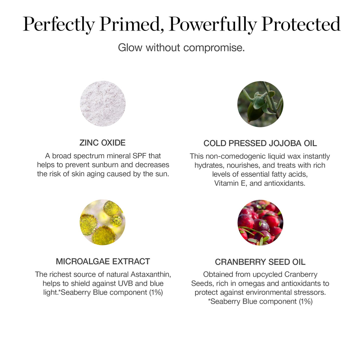 Ogee PROTECT next to everyday items to show size and travel-friendly convenience