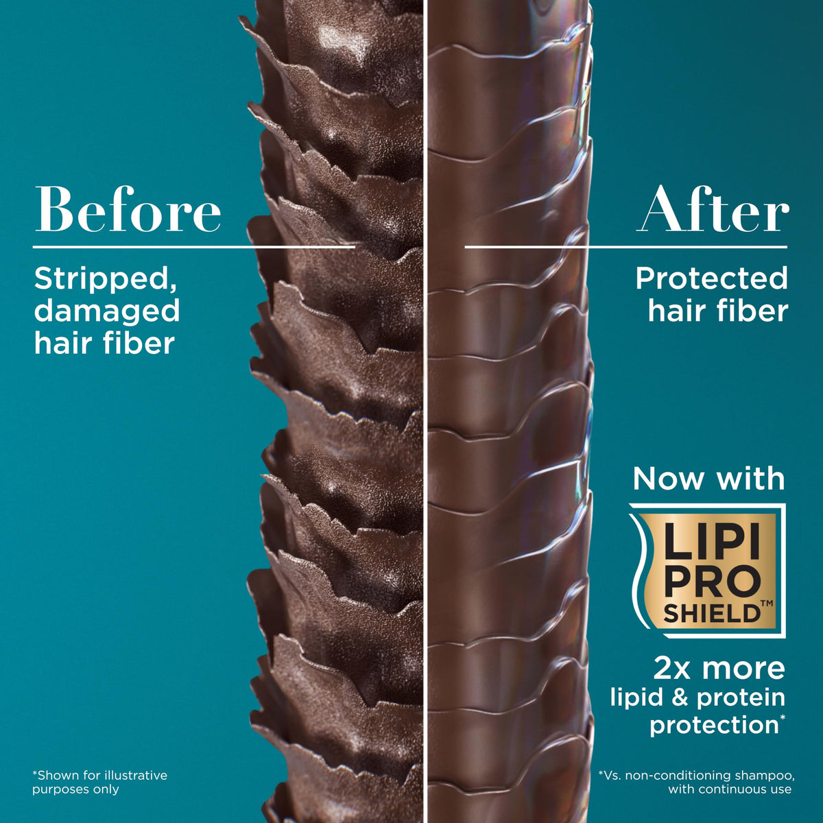 OGX conditioner applied to midlengths illustrating detangling and softness benefit