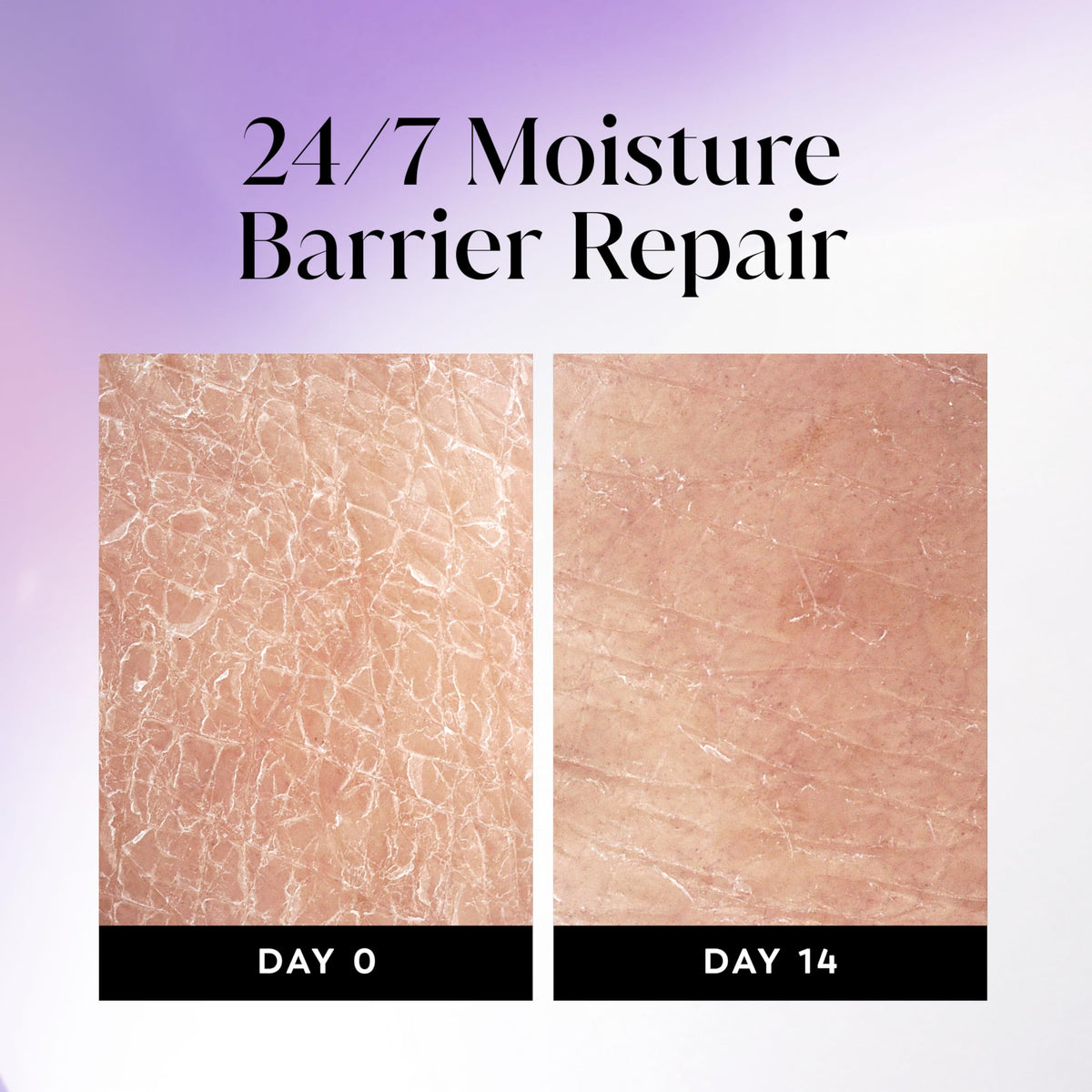 Olay ingredient icons displaying niacinamide hyaluronic and lipids benefits