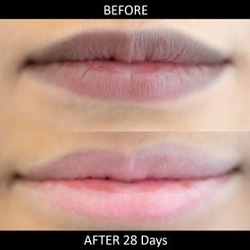 OMORFEE cocoa butter ingredient image conveying deep moisturization for lips