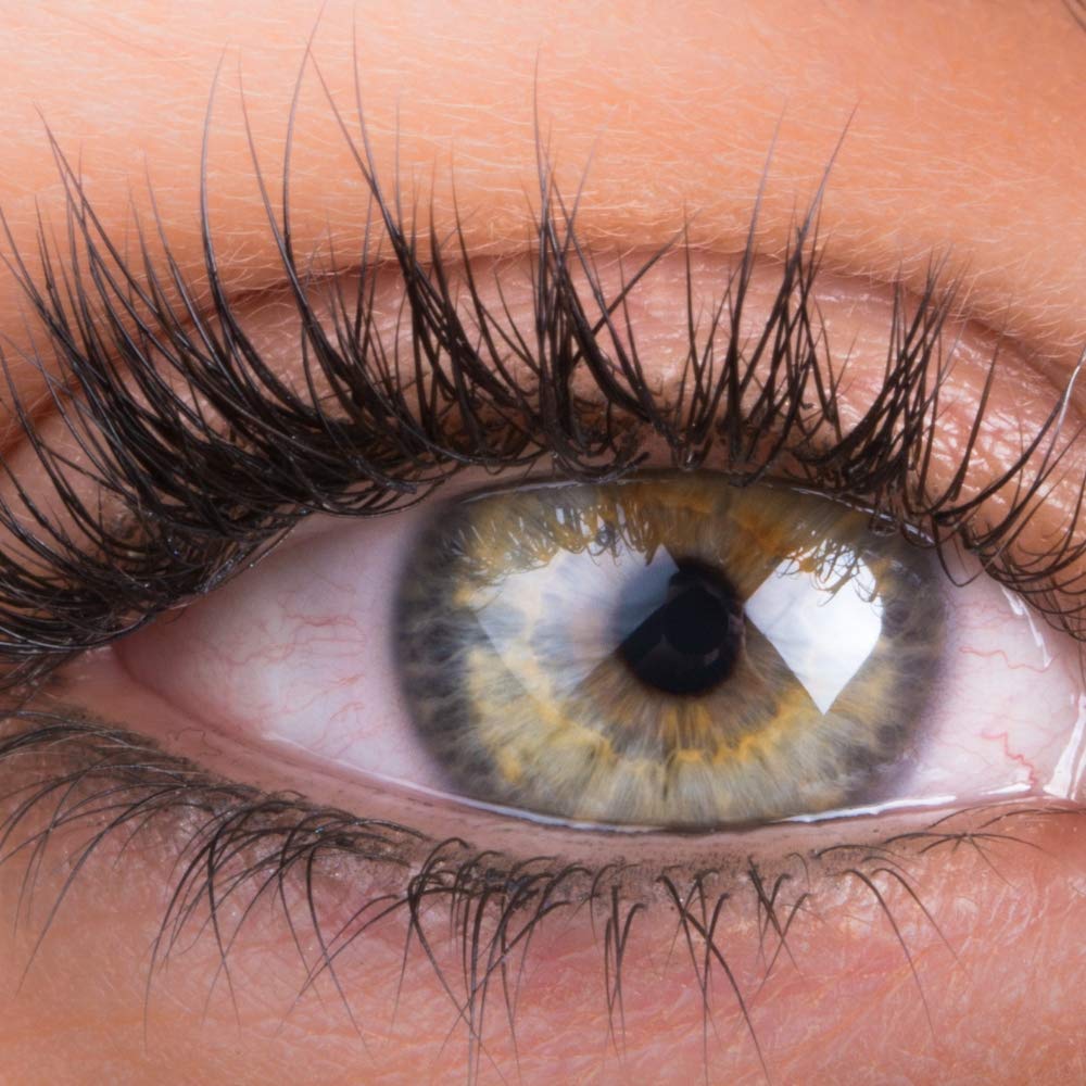 Organys application along upper lash line for precise follicle targeting