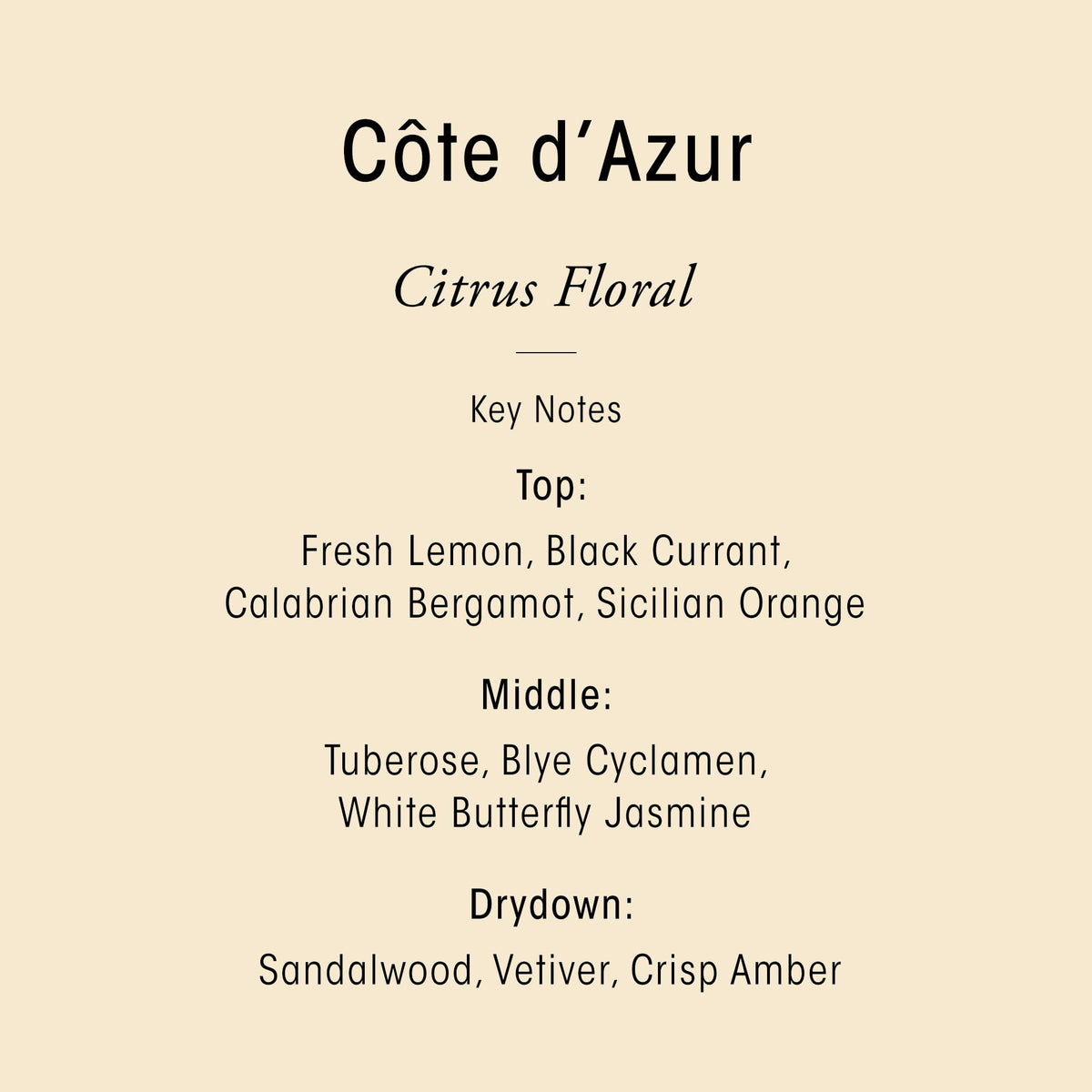ORIBE creamy lather on hand demonstrating gentle cleansing and softness