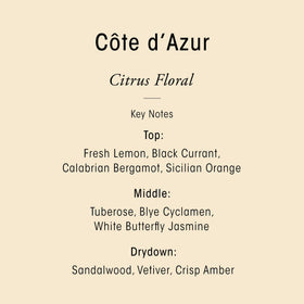 ORIBE creamy lather on hand demonstrating gentle cleansing and softness