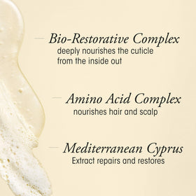 Oribe Gold Lust ingredient collage of argan, cypress and botanicals for repair
