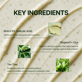 Orien mugwort ingredient shot illustrating soothing botanical benefits