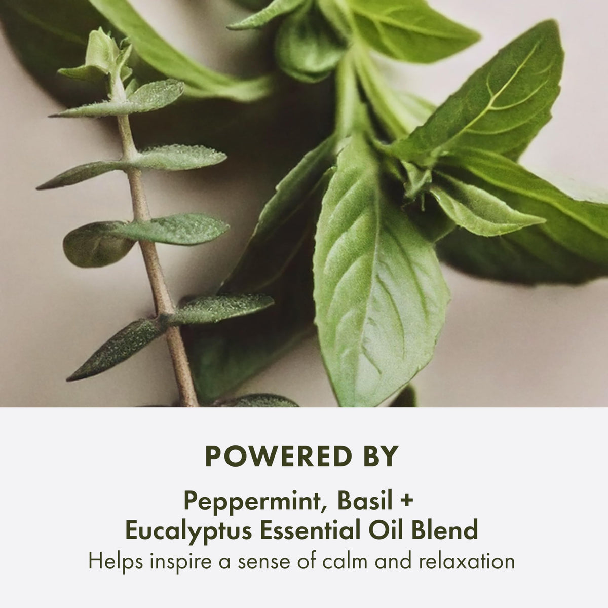 Origins close-up of exfoliating scrub texture with natural bamboo and walnut particles for smoothing