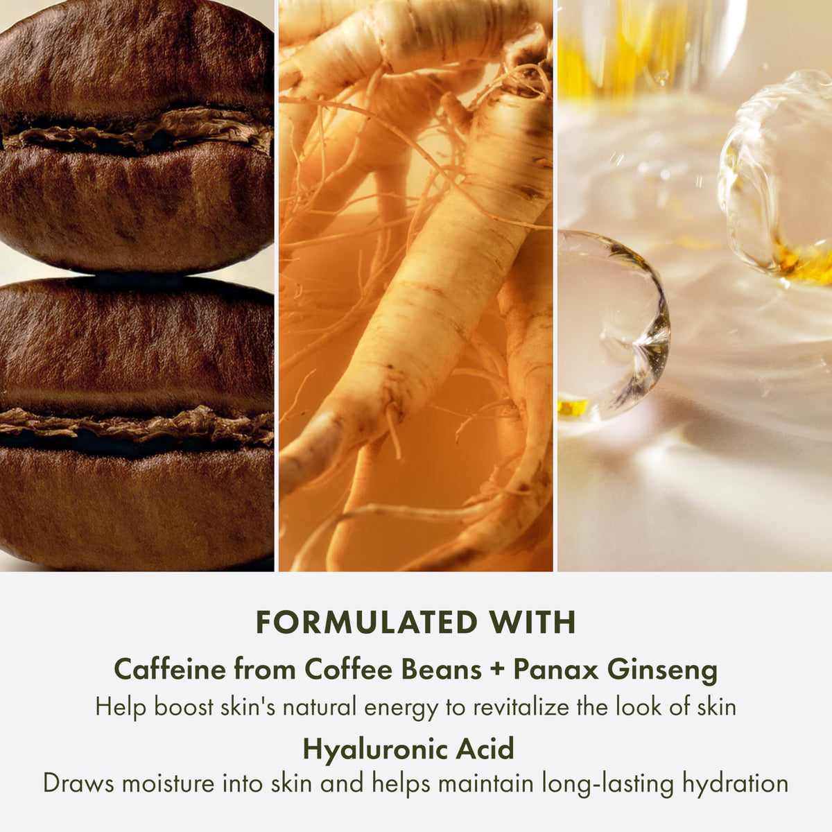 Origins GinZing ingredients display with ginseng and coffee energizing skin
