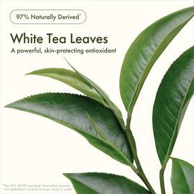 Origins white tea leaves ingredient shot highlighting antioxidant benefits