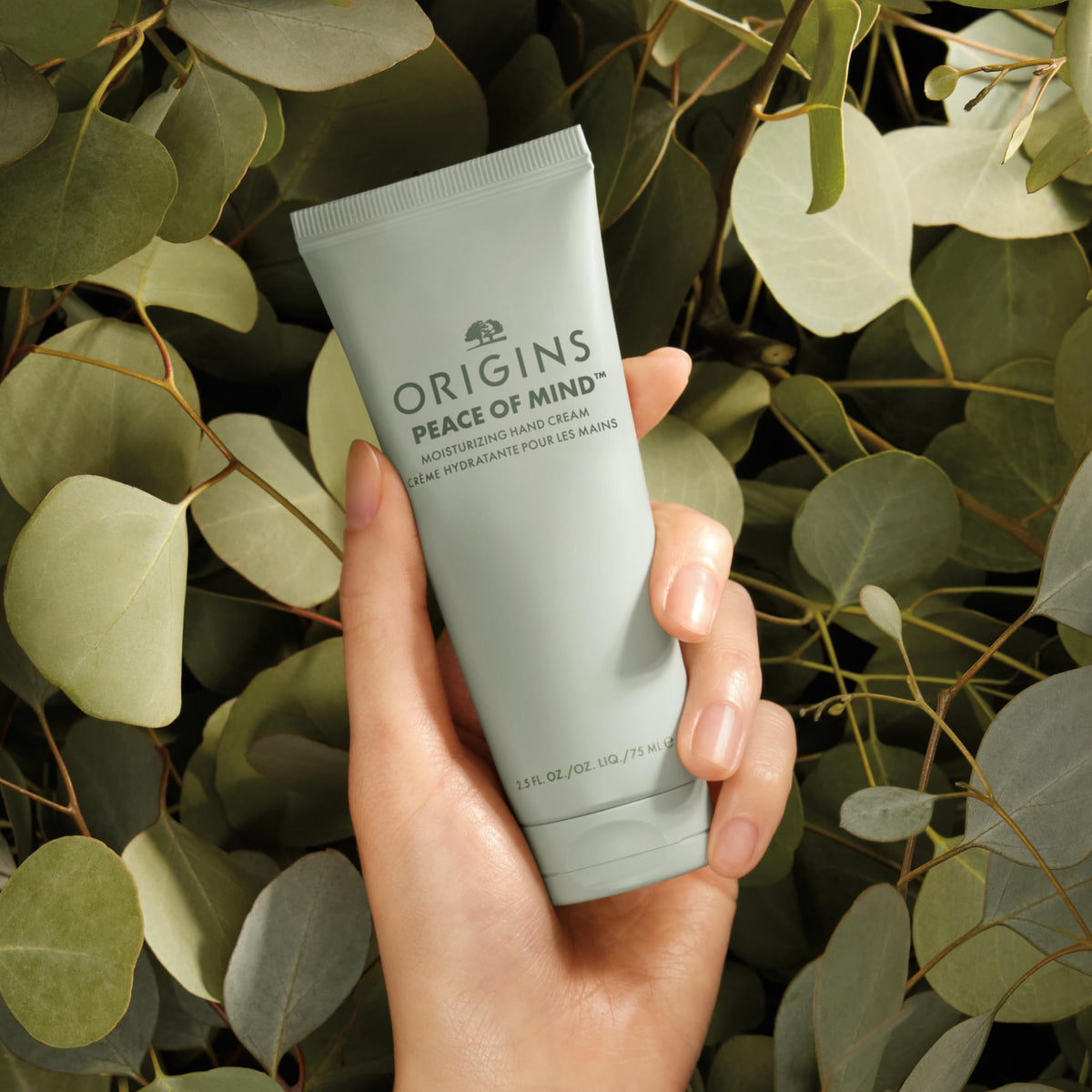Origins meadowfoam seed oil visual highlighting conditioning ingredient benefits