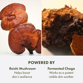 Origins Reishi mushroom and botanicals display showing calming ingredient benefit