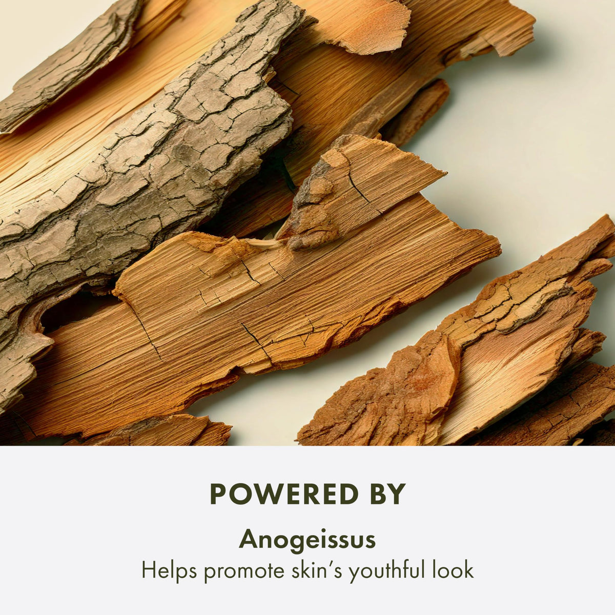 Origins Plantscription in bathroom setting suggesting nightly routine benefit