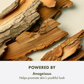 Origins Plantscription in bathroom setting suggesting nightly routine benefit
