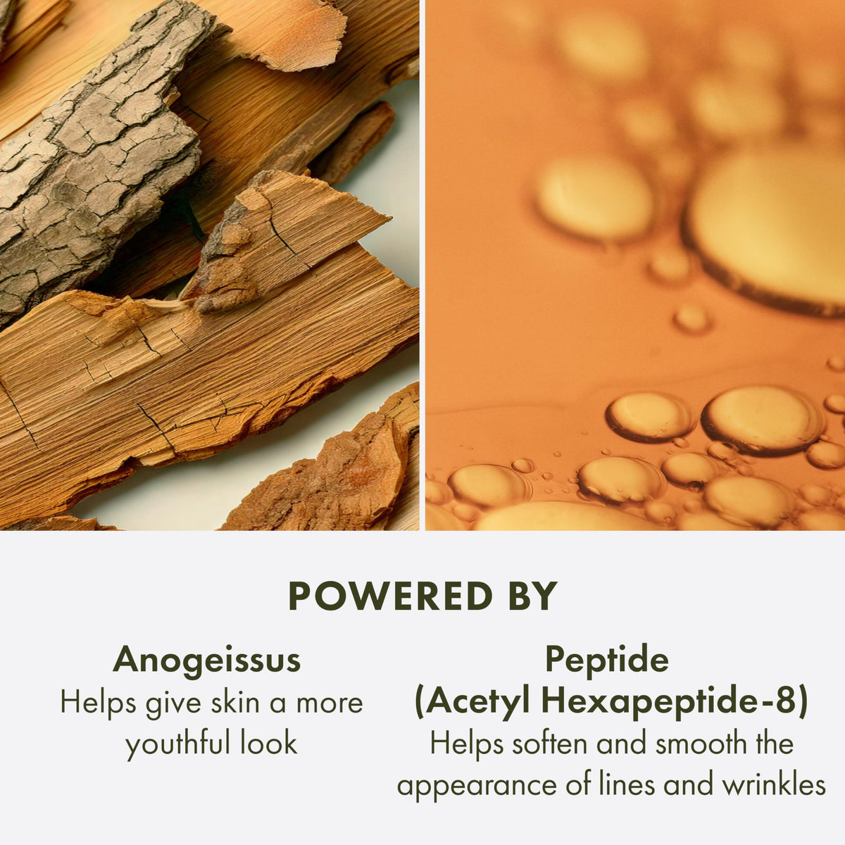 Origins Plantscription on bathroom shelf styled with plants showing clean, natural routine