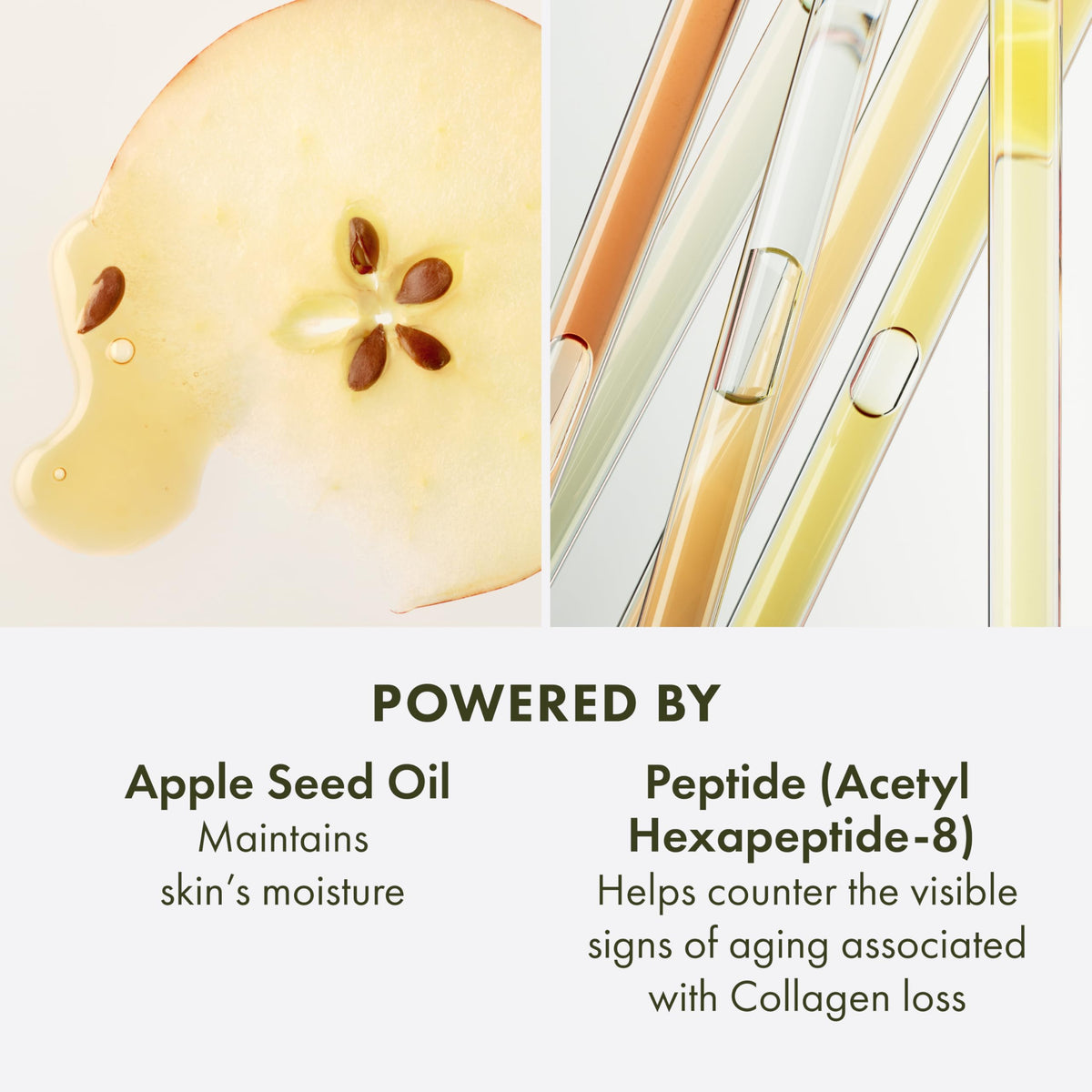 Origins Youthtopia apple stem cells ingredient display emphasizing antioxidant benefit