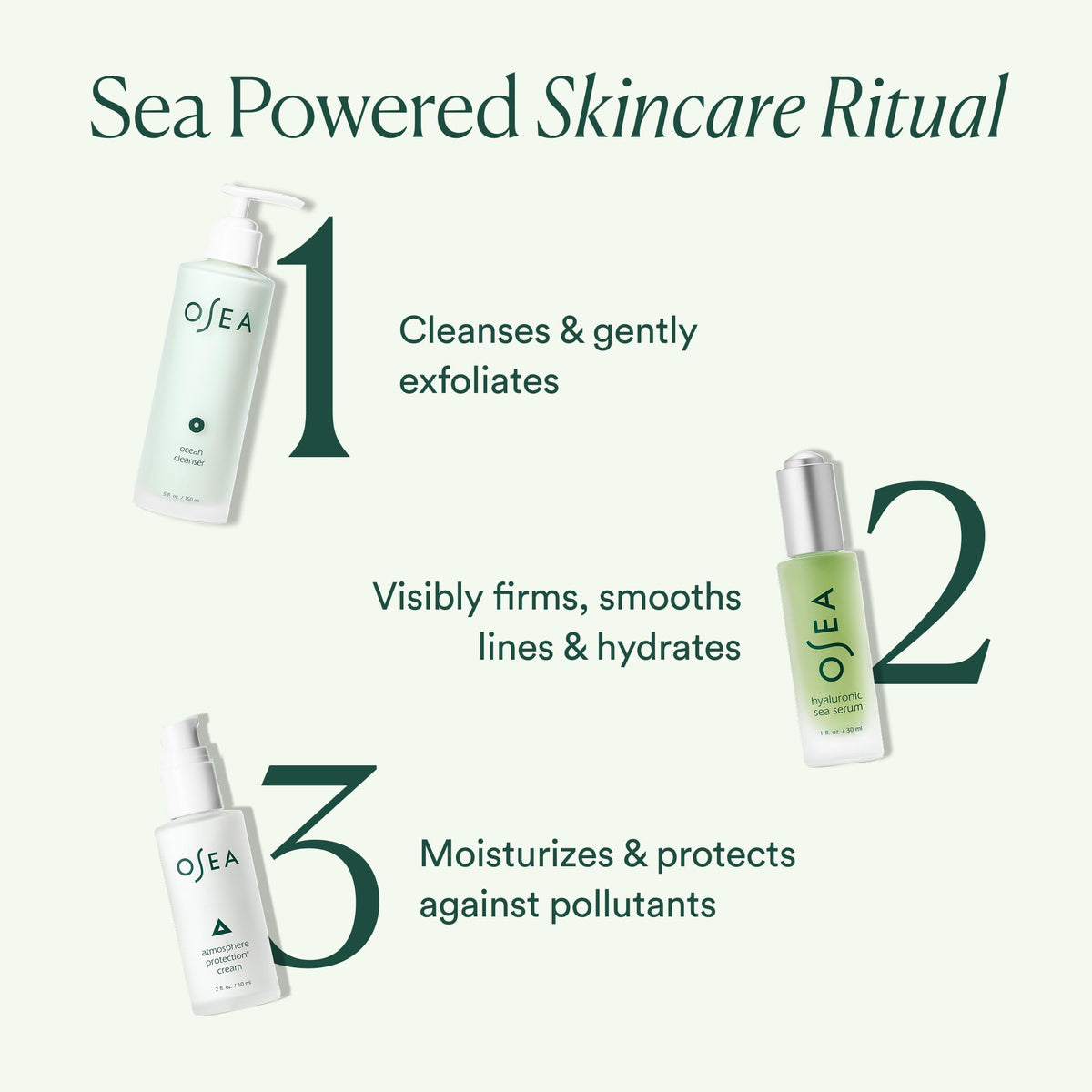 OSEA seaweed ingredient visual emphasizing mineral-rich, natural support