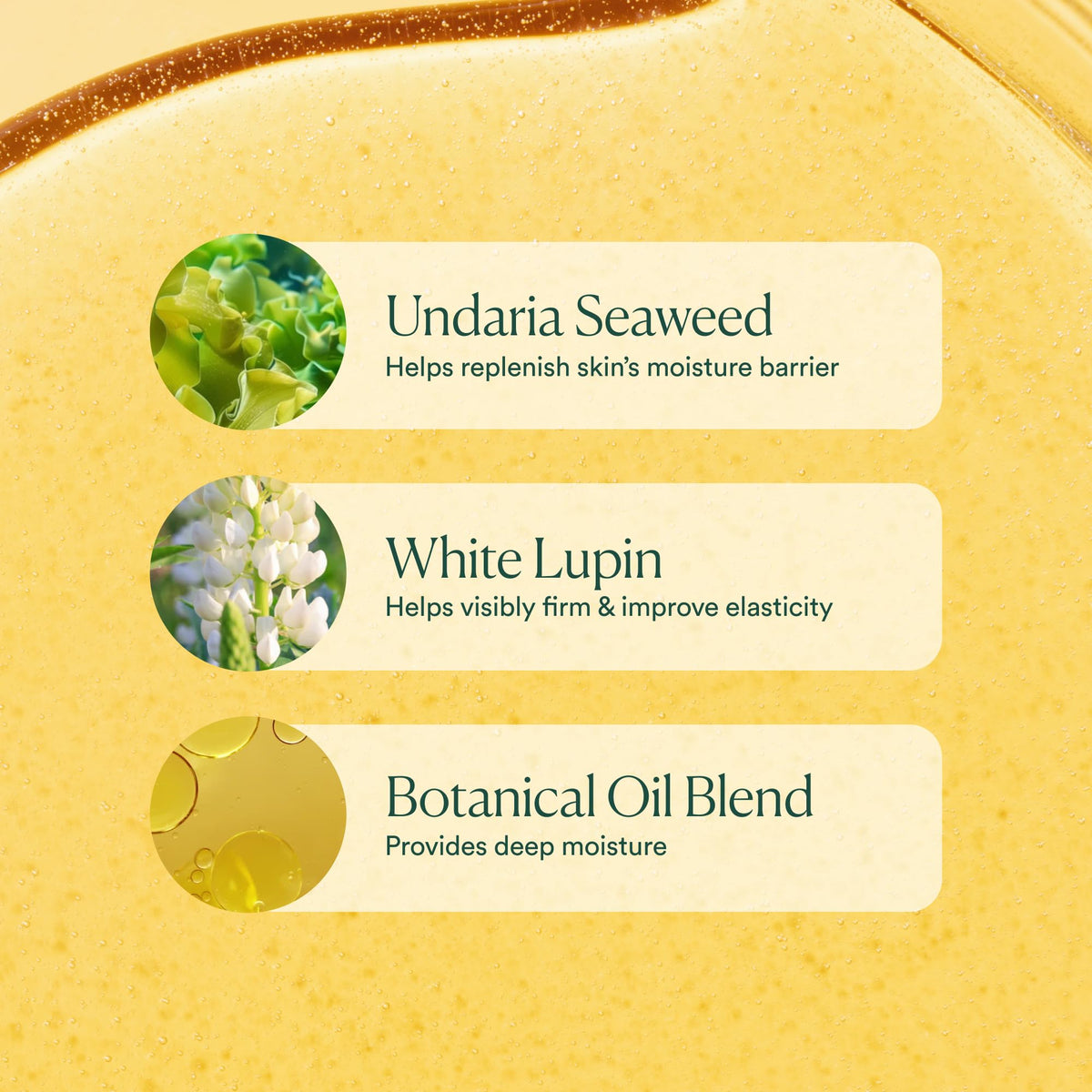 OSEA label detail highlighting seaweed ingredients and clean claims