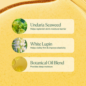 OSEA label detail highlighting seaweed ingredients and clean claims