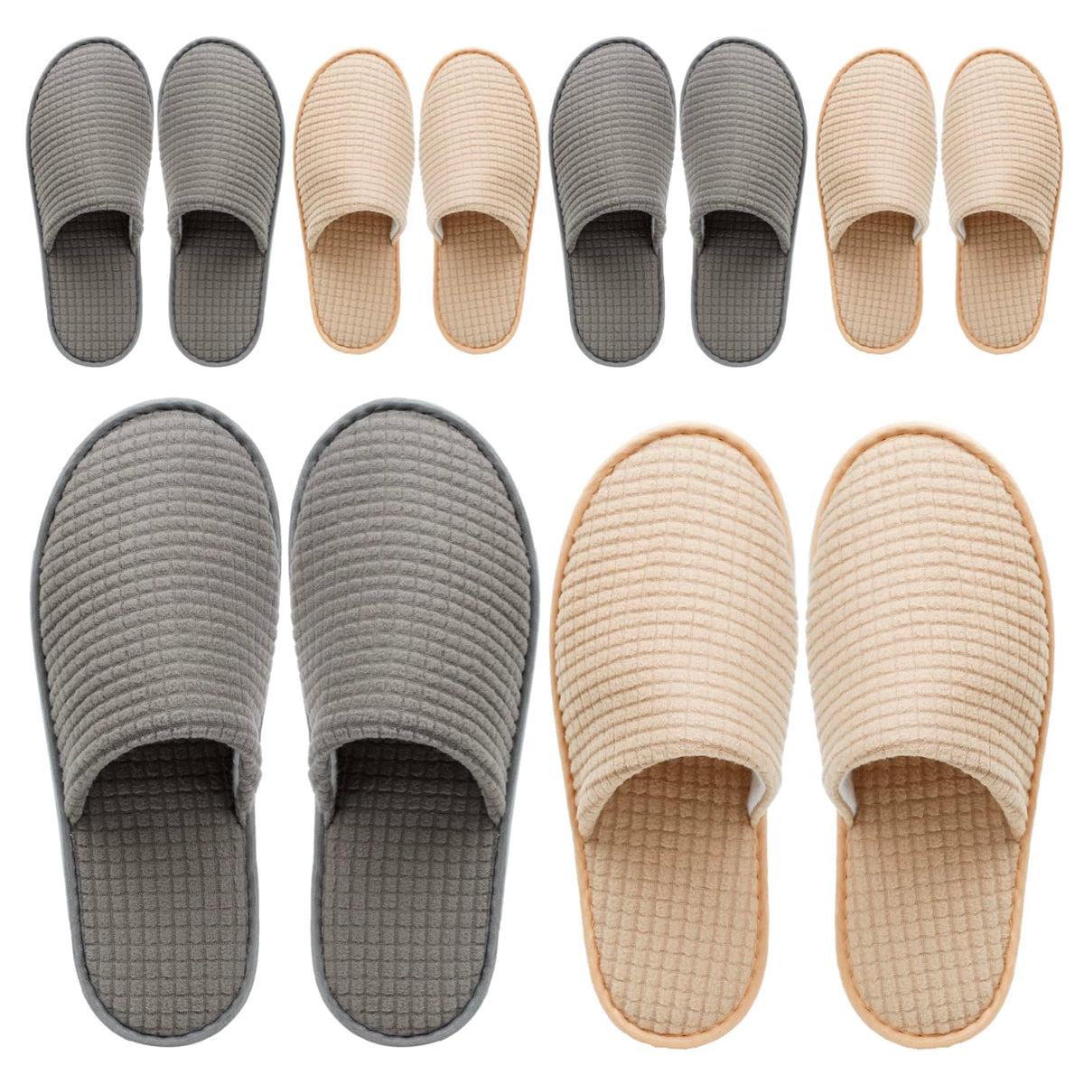 OSTADARRA front packaging showing six pairs and branding, convenient for hosts