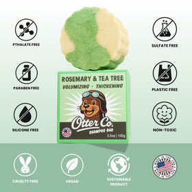 Otter co ingredient flatlay with olive and green tea showing botanical formulation benefit