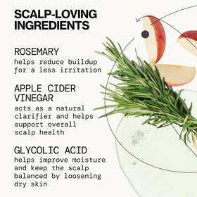 Pacifica conceptual before and after scalp showing reduced flakes and calmer skin