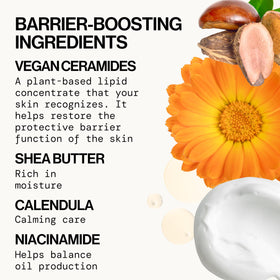Pacifica cream texture closeup highlighting silky finish and fast absorption