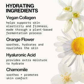 Pacifica chamomile and jasmine water image indicating calming botanical benefits