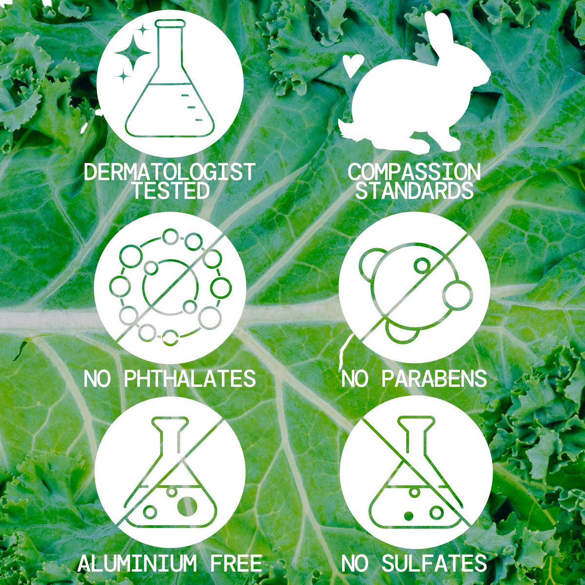 Pacifica label ingredients list highlighting niacinamide and vitamins benefit