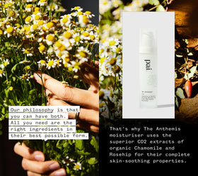 PAI The Anthemis rosehip close-up highlighting natural oil source for nourishment