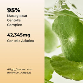 PAMSIBC Centella extract texture close-up highlighting pure lightweight feel
