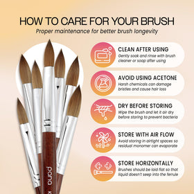 PANA brush in protective storage preserving tip shape and extending life